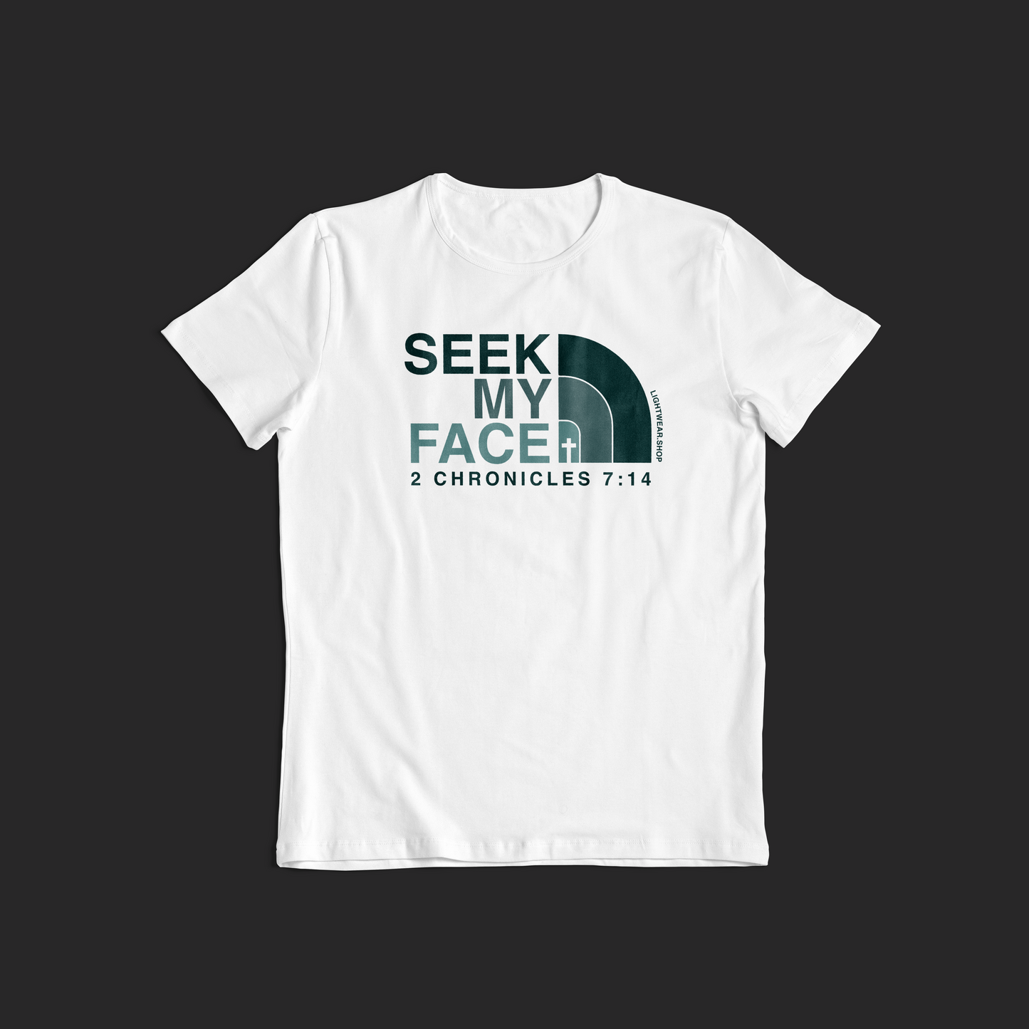 Seek My Face